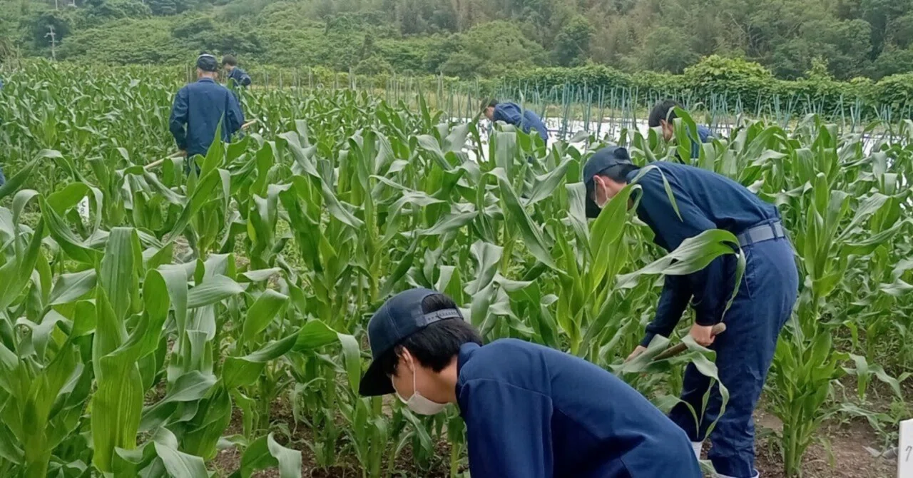 はじめまして 紀北農芸高校です｜紀北農芸高等学校