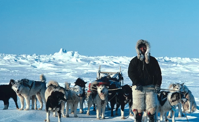 植村直己について｜だいち