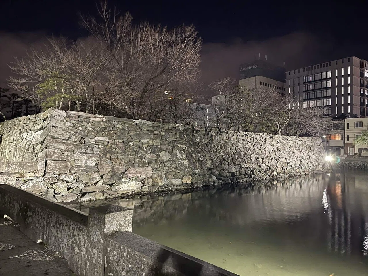 1分で紹介」徳島｜｢徳島城｣夜攻め｜48katsu7