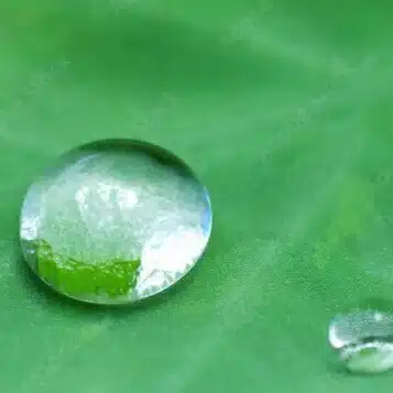 るる