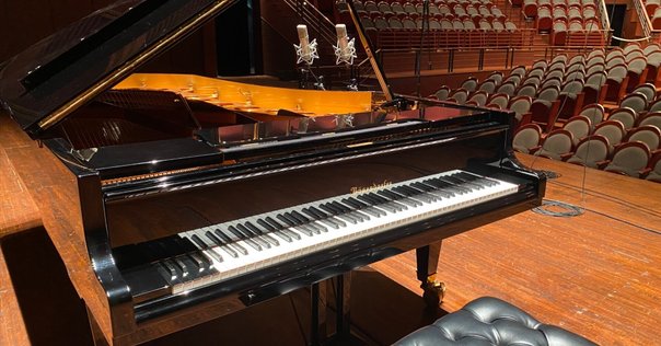 ディノ・チアーニ 未発表録音 :ベートーヴェン： ピアノ・ソナタ全集 ９ＣＤ ディノ・チアーニを聴く（1）｜hide