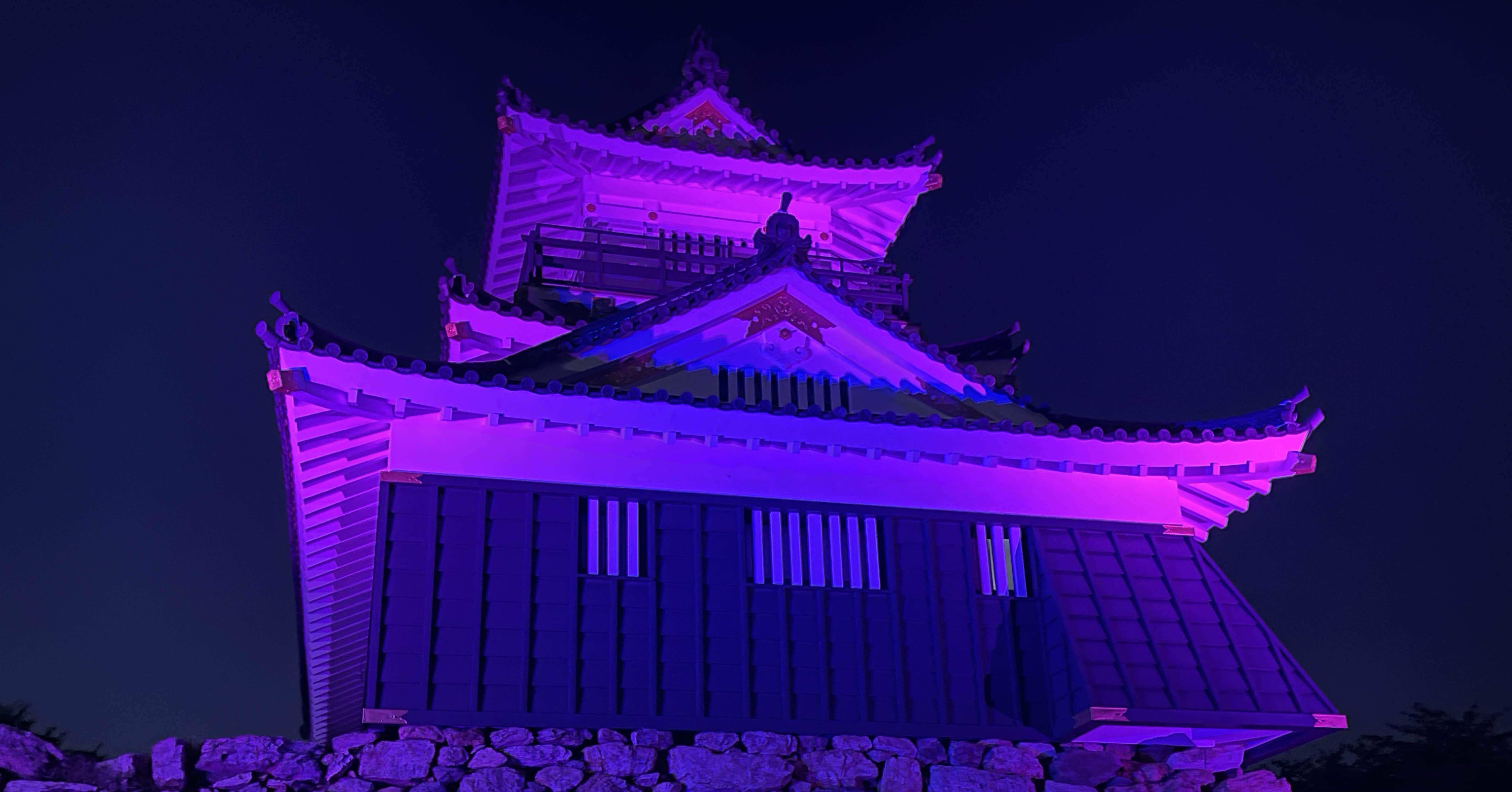 2分で紹介」静岡｜｢浜松城｣夜攻め｜48katsu7