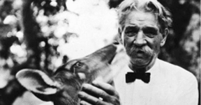 幼い頃に読んだ偉人の物語① シュバイツァー博士はこんな人だった