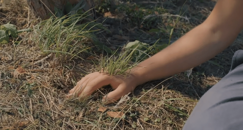 ネタバレ注意 ミッドサマー の感想と考察 ルーン文字も解説 ちか Note