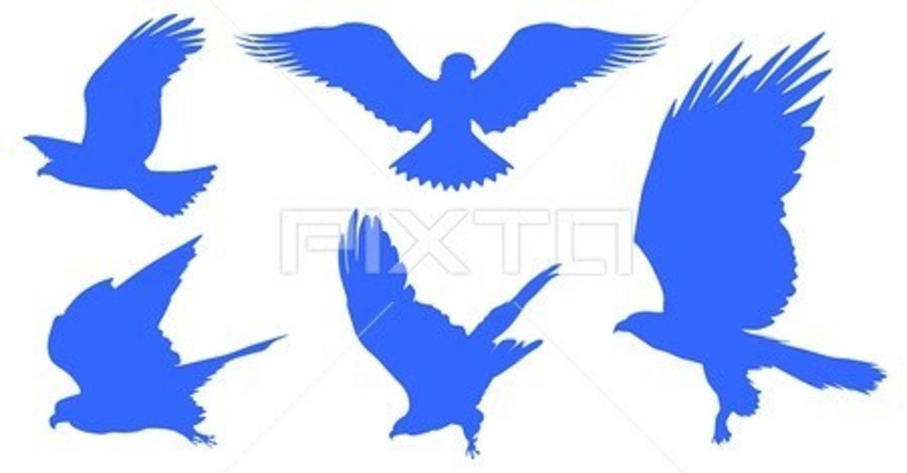 第879回 じゃあ猛禽類の『鷲鷹』も｜翆野 大地