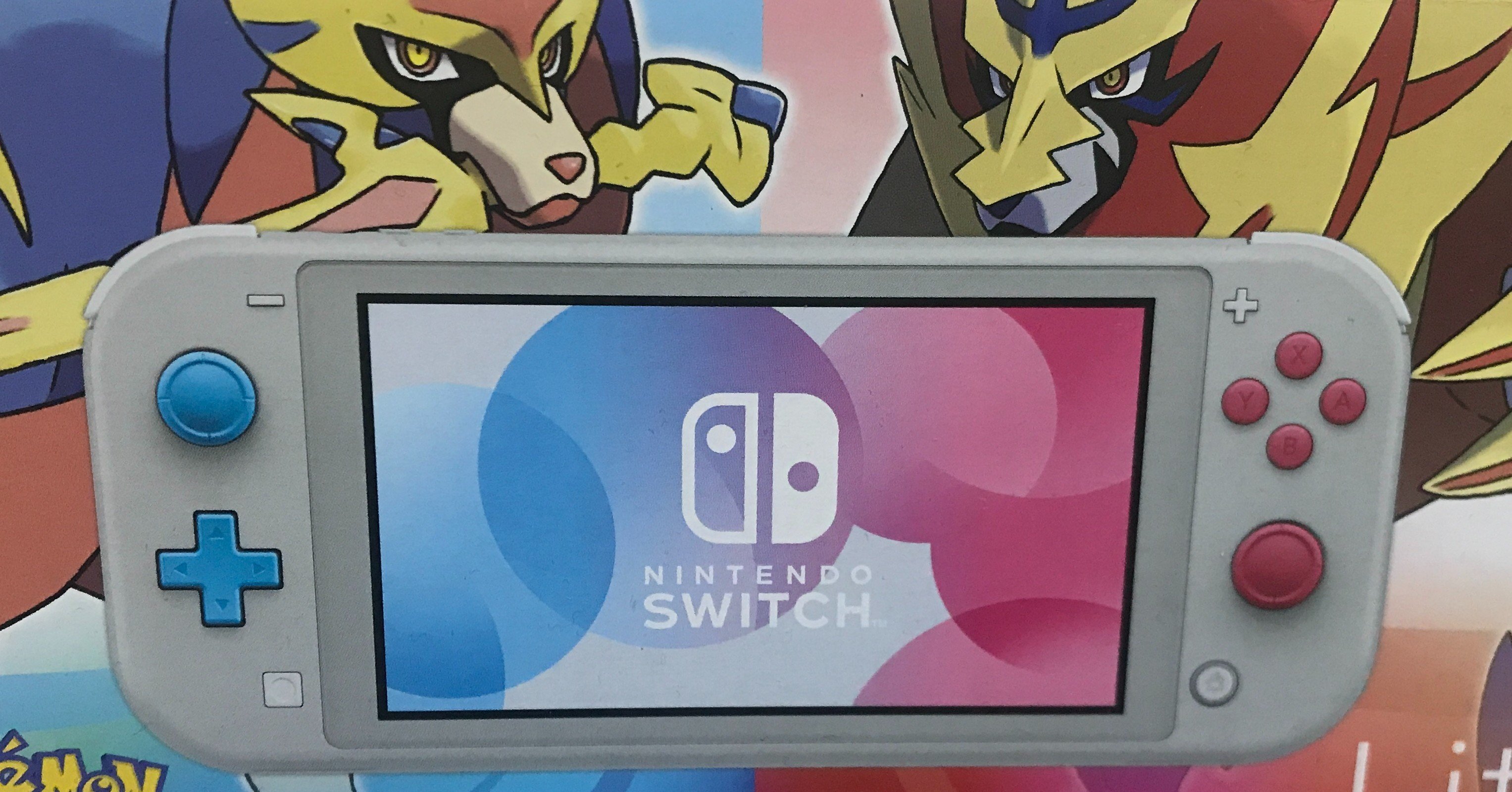Nintendo Switch Liteを自分や家族用2台目として使う場合に注意