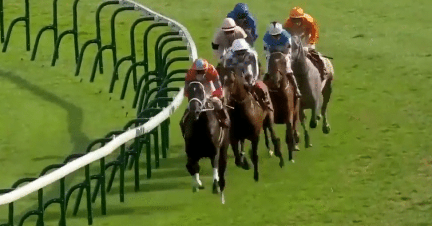 欧州重賞を好走した日本調教馬の馬体重｜ぱねす