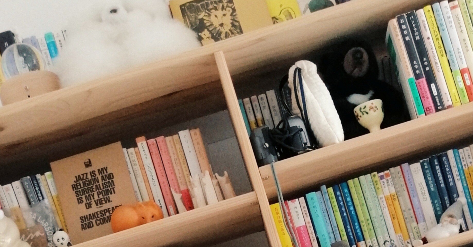 本棚ツアー｜きつね