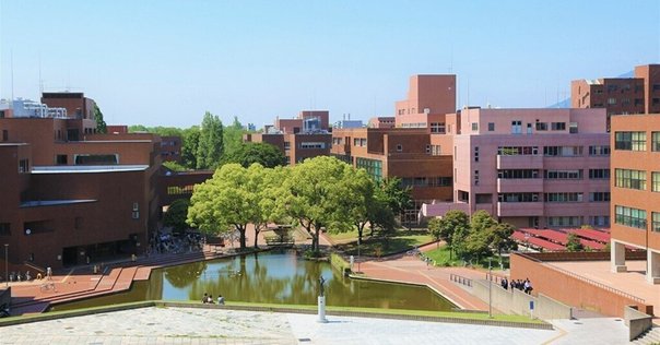 東京科学大学大学院　情報理工学院　情報工学系　院試　参考書　セット販売 東京科学大学(東工大) 情報理工学院 情報工学系] 筆記試験対策