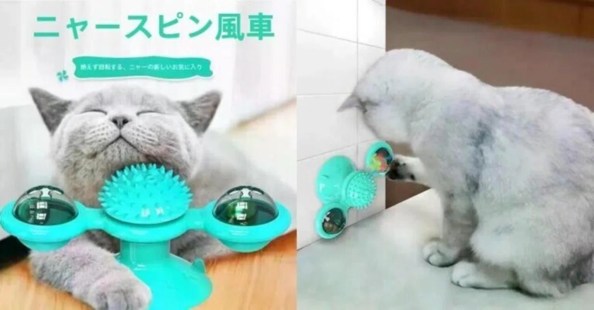 猫ちゃんも大満足！！ 【公式通販】