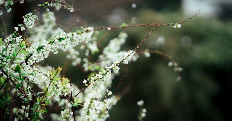 文字起こし 引きこもりからの回復期のあなたにアドバイス やどかりみさお 菊池操 Note
