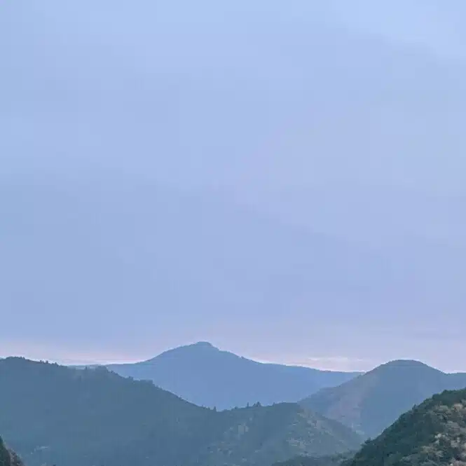 さきもり