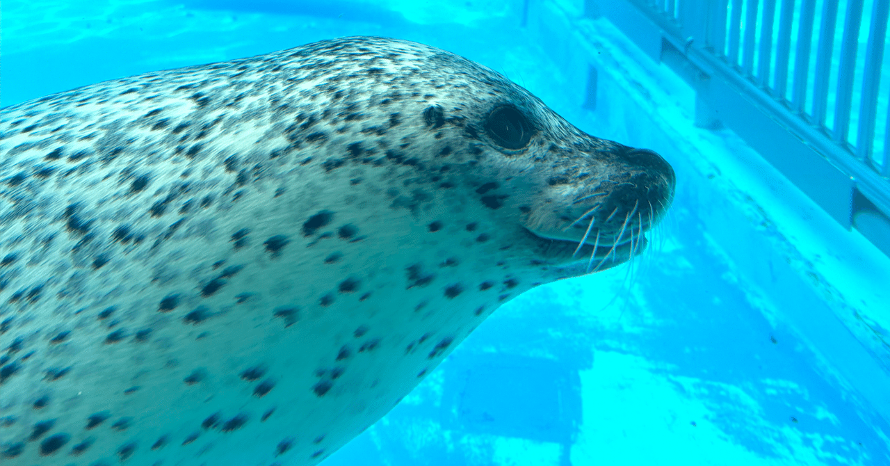 水族館へ行こう】新潟県・マリンピア日本海｜tama