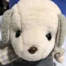 ぽんぽこりん