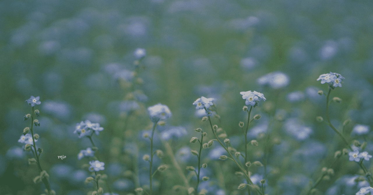 ワスレナグサ の新着タグ記事一覧 Note つくる つながる とどける