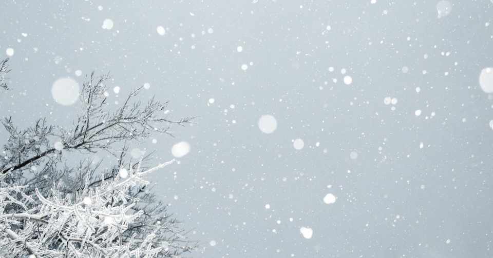 肉まんもふりたい 前編 y 田中 崖 Note