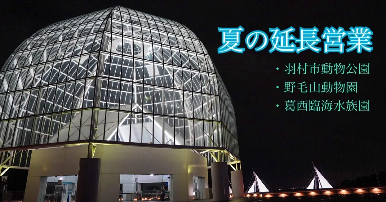 夏の夜は延長営業｜haru
