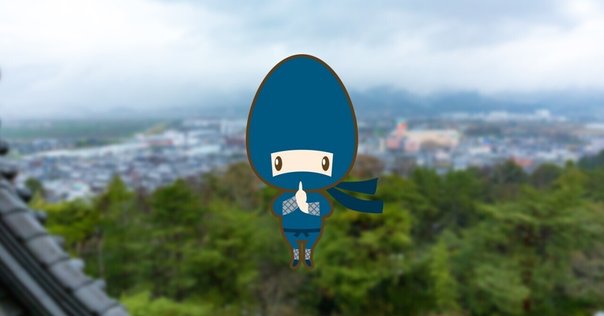 忍者学大全 忍者学大全 - 東京大学出版会