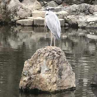 いいねが来て凄く嬉しい 繋がるっていいですねw デススト風 ノア Note