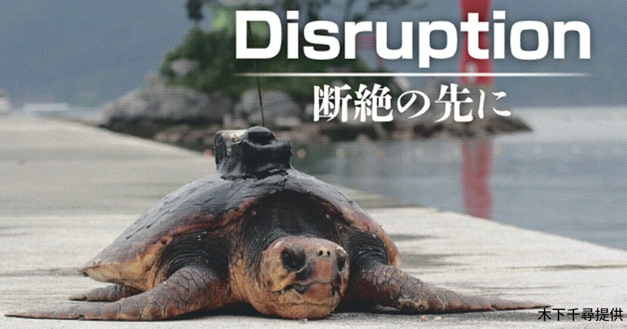 宇宙から届く、ウミガメのメッセージ｜NIKKEIスタッフ