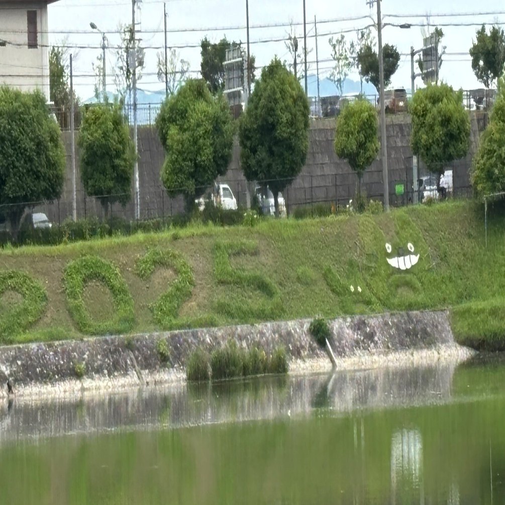 8月25日