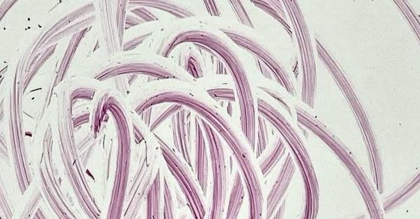 絵で知る幼児の心―幼児心理測定は描画と色彩から 絵で知る幼児の心―幼児心理測定は描画と色彩から