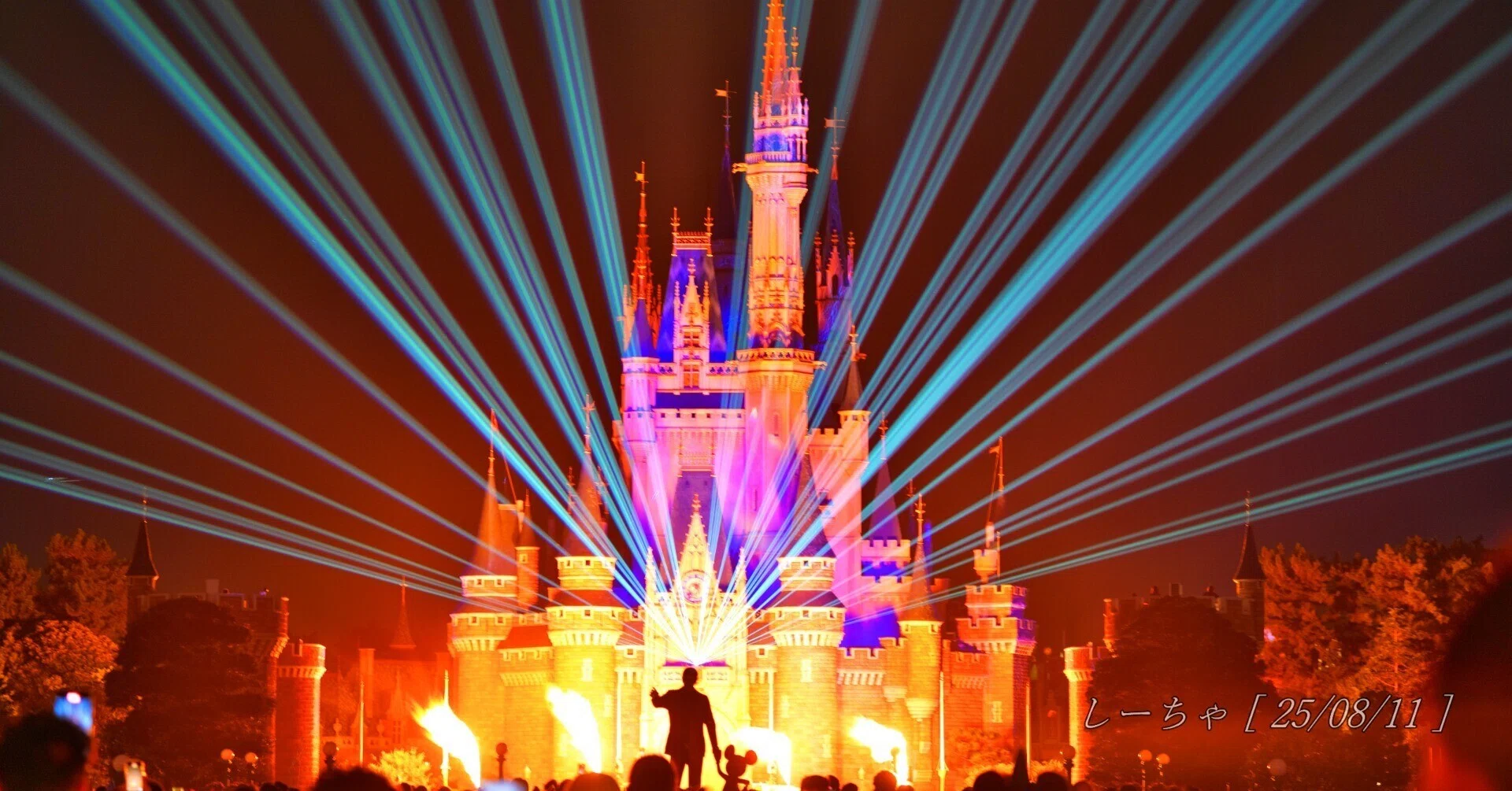 ディズニーで攻略とか効率とか謳ってるものが嫌い｜しーちゃ