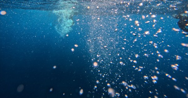 過去に触れる、身振りをなぞる──田中純『歴史の地震計──アビ