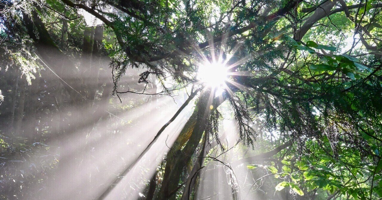 Nikon Z5IIレビュー｜元滝伏流水で光芒を撮る🌟｜Akari photography