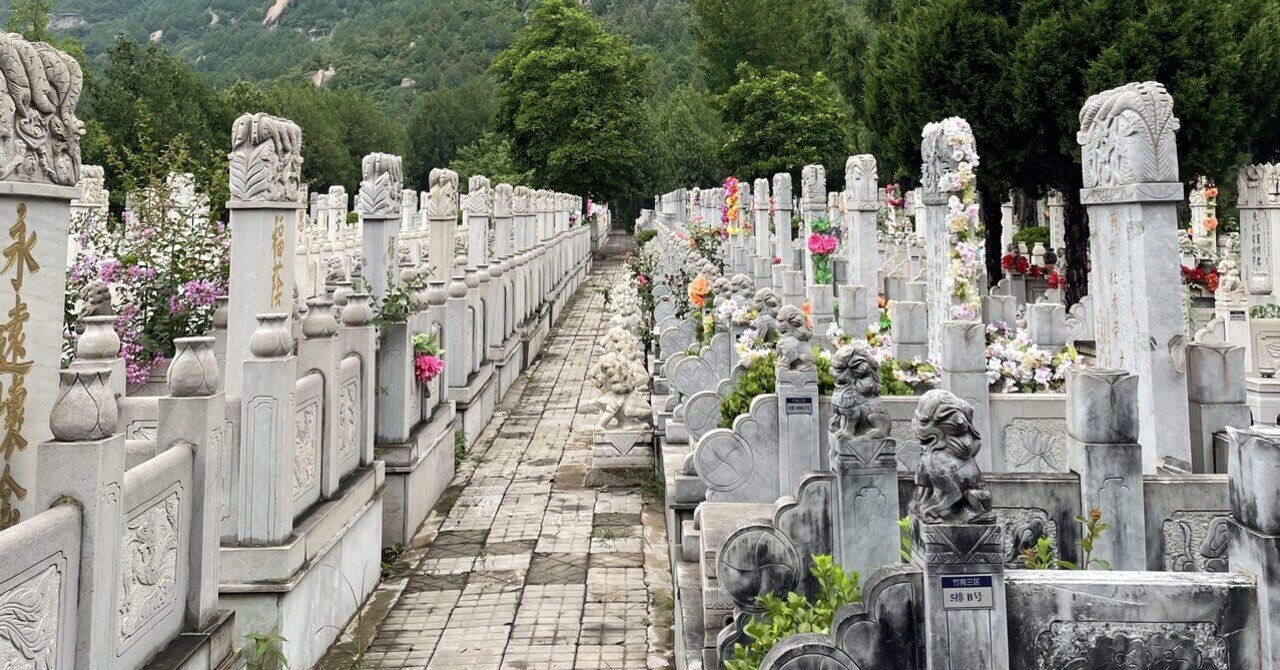 中国北周珍貴文物－北周墓葬発掘報告 中国北周珍貴文物 北周墓葬發掘報告 平装版 / 貟安志編著 | 歴史