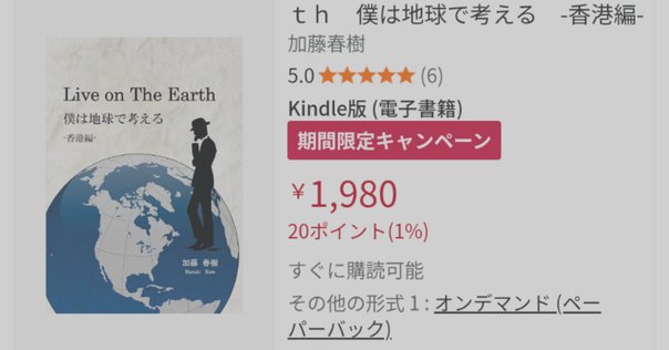 小川さやか『チョンキンマンションのボスは知っている アングラ