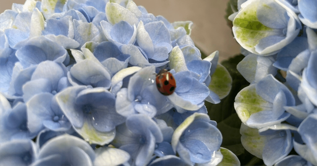 Ren'Py 問題集 GUI カスタマイズガイド 中級 GUI カスタマイズ ヒストリー|sankakurou