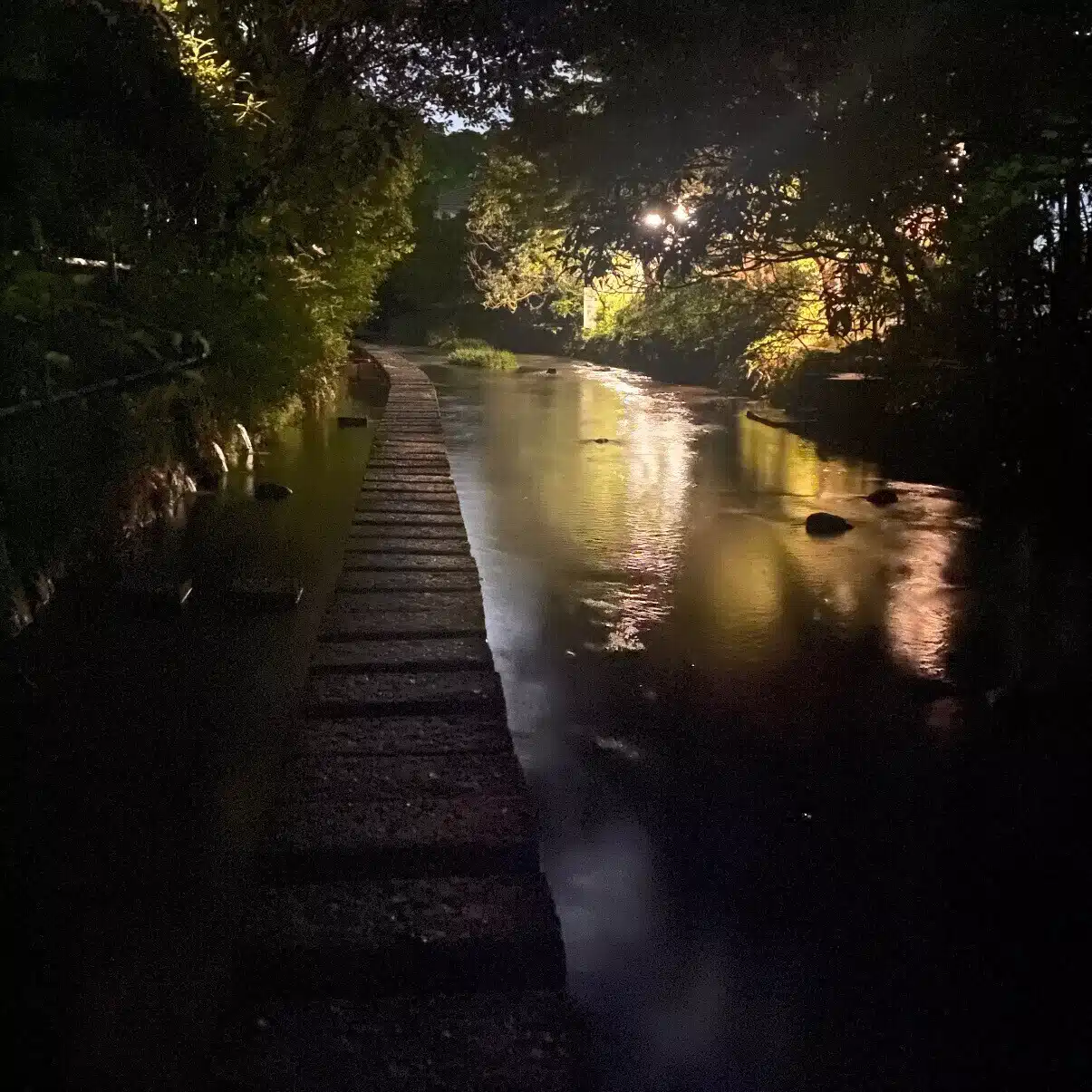そうた