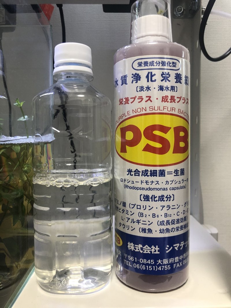ちちばなれ 稚魚ベタのご飯の話 サワコ Note