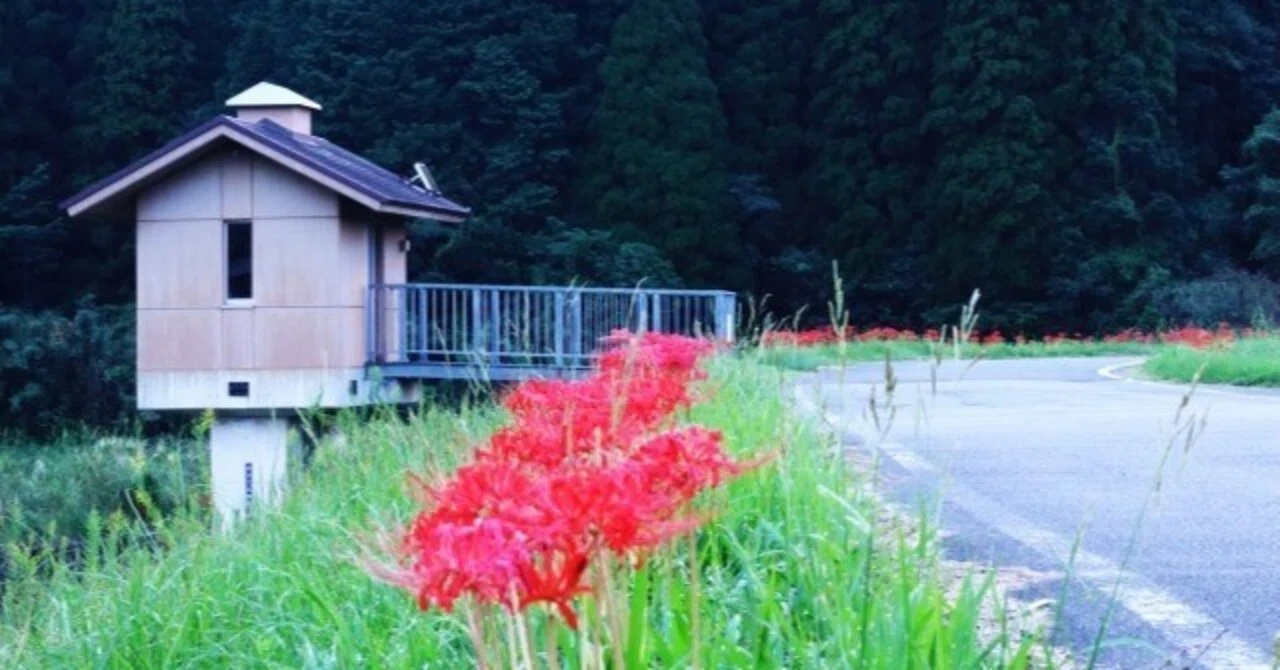 『風の便り』【アナザーストーリー：曼殊沙華の咲くころに②】｜chinop