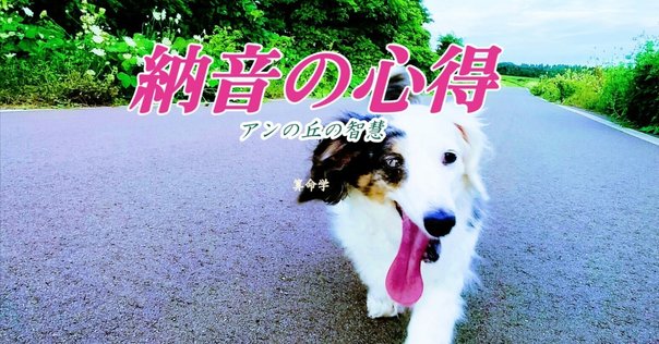 四柱推命の納音とは？納音の意味や見方、影響をわかりやすく解説