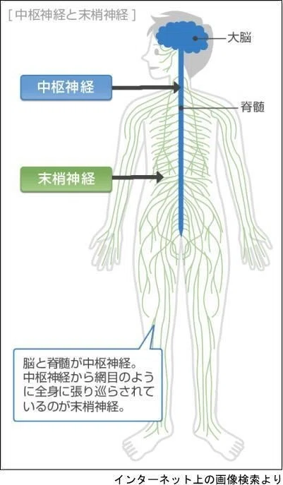 画像18