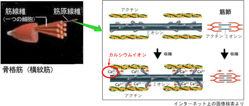 人類の育てた果実 自分探しの旅の果てに Markey Toku 徳永真亜基 フォロバ100 Note