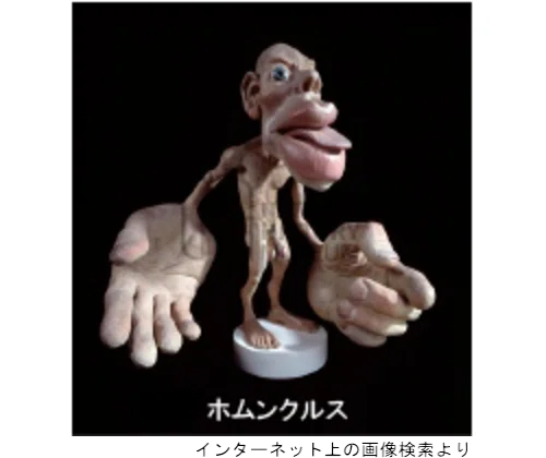 脳の中の小人（ホムンクルス）