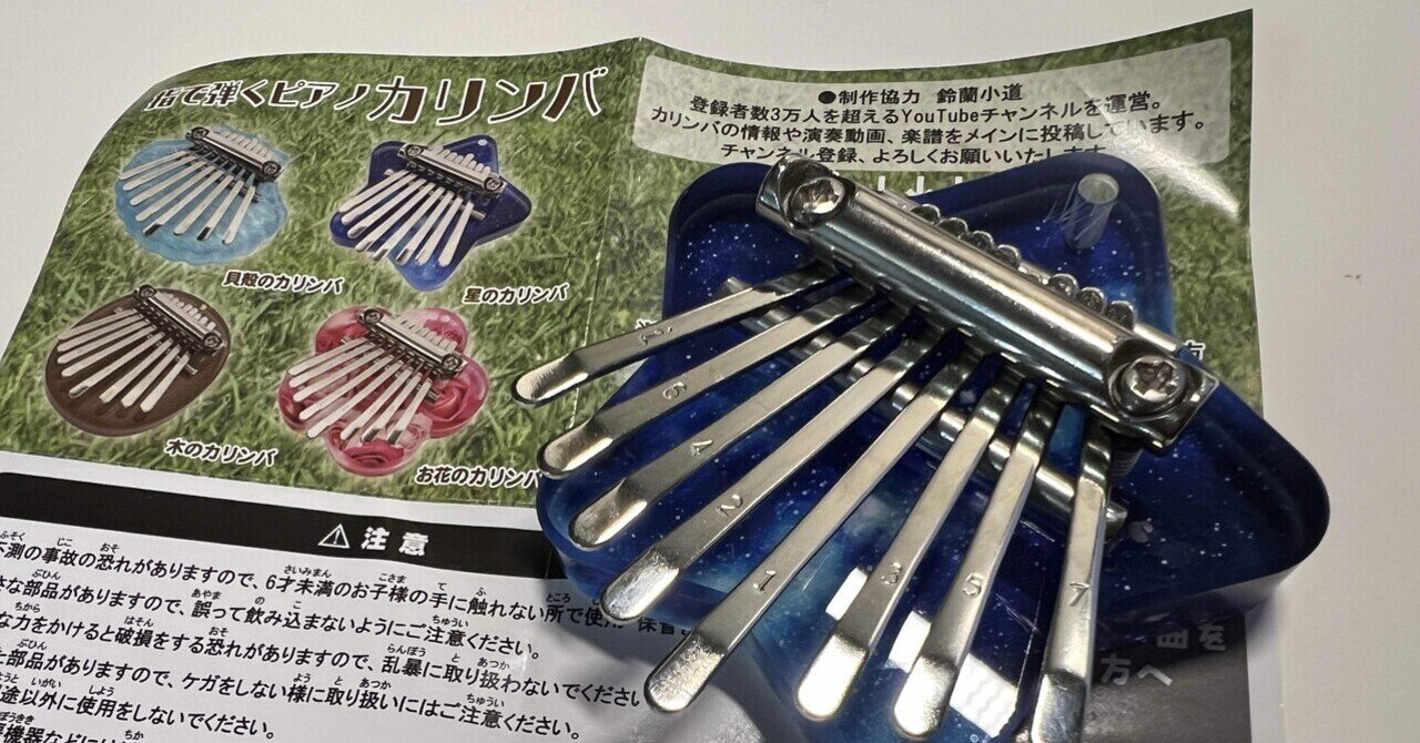 初心者がフラットマンドリンを通販で買うのはハードルが高いと