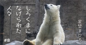 フェスで『スケベなだけで金がない』と叫ぶ若者たち。【礼賛】｜星埜