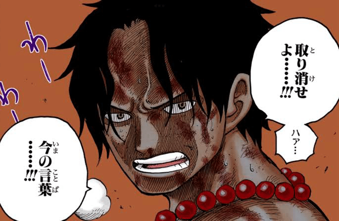 サイクル赤青エース 13弾環境】Wf型赤青エース解説【ワンピースカード】｜TCG攻略note PROS