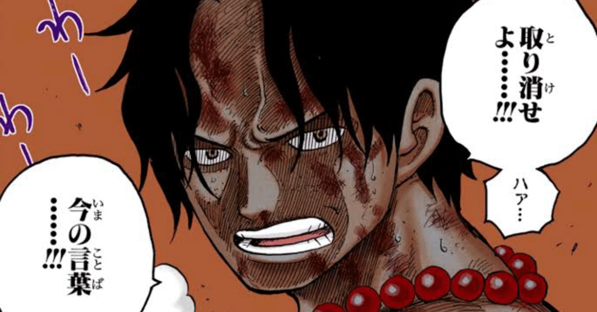 13弾環境を赤青エースで本気で勝ちたい人へ(発売初日スタバ優勝