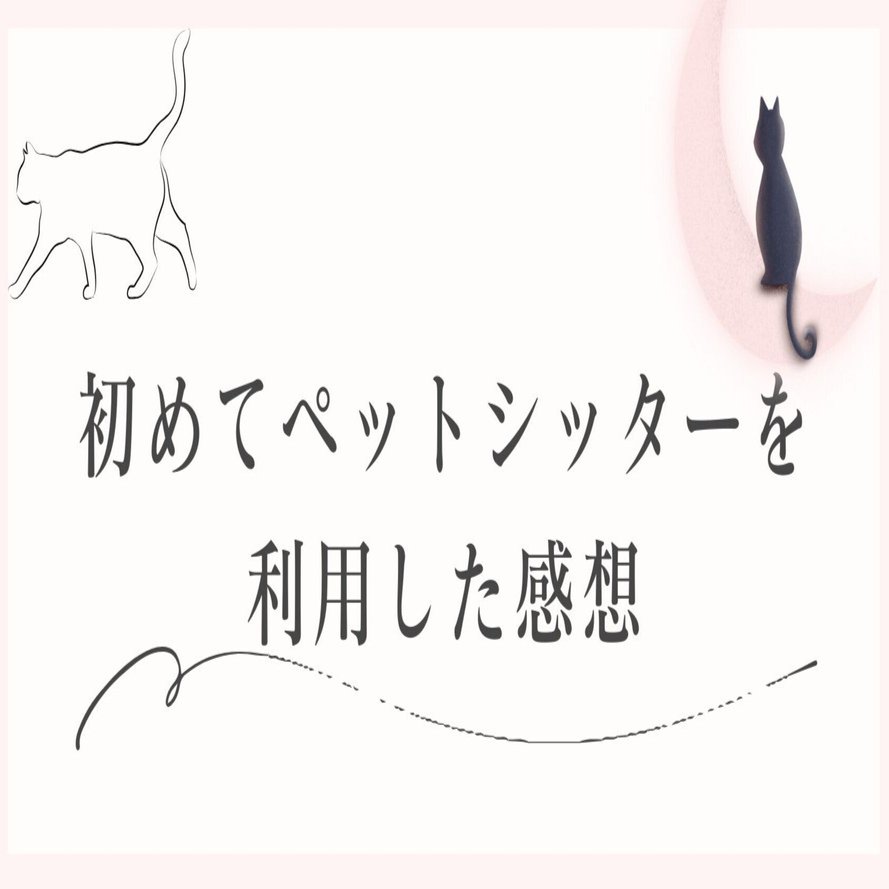 初めてペットシッターを利用した感想｜nekomori代表 / 竹下みずき