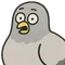 シダナオ