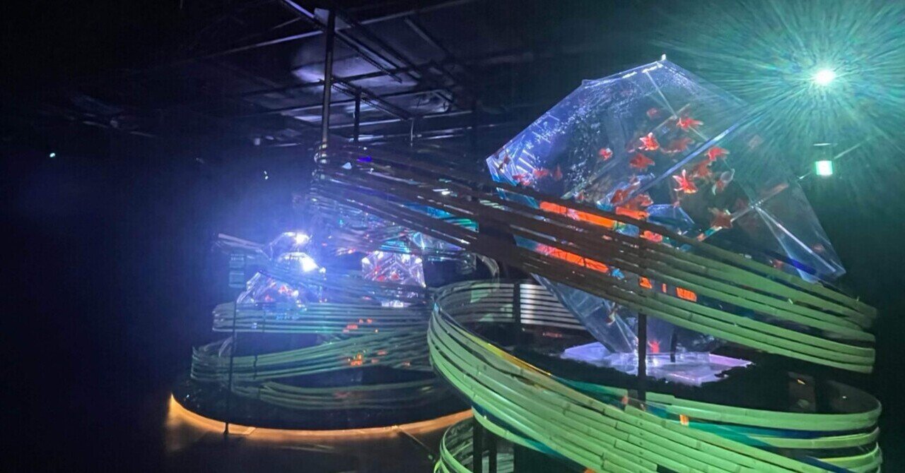 ART AQUARIUM 金魚の粋 舞 宇宙 Wataru Igarashi 5000匹の金魚と光が幻想的な世界を演出！新感覚の水中アートが