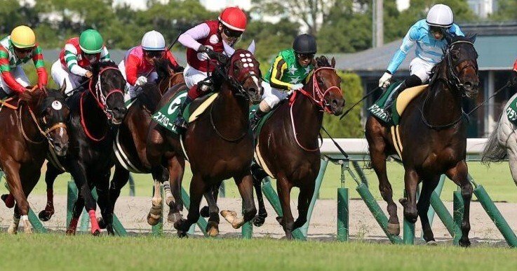 競馬予想　極4 20250807c.jpg