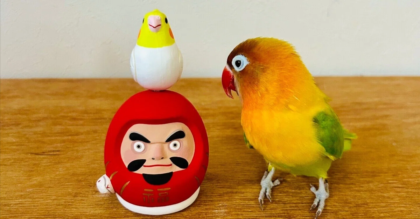 博多人形 巳年干支飾りについて｜博多人形工房まこも