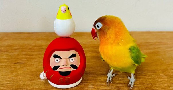 ヨーヨー en 鳥船 トリフネ 雀 鳥船(トリフネ) - 目白 | en