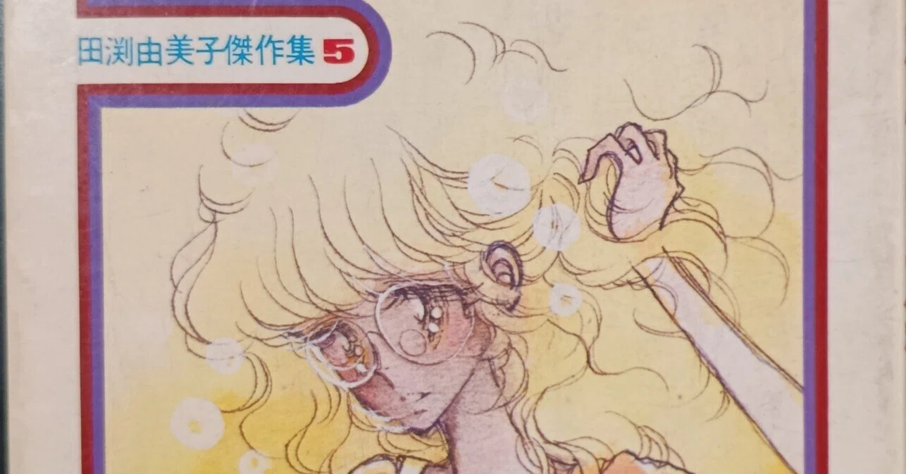本の棚卸｜田渕由美子 について｜1京